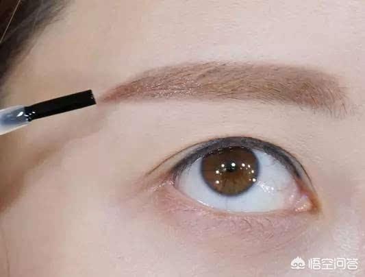 他才不凶呢（他才不凶呢讲的什么）