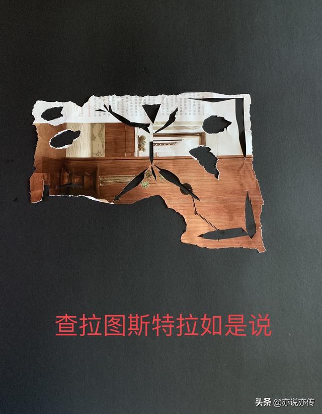 冷血公主vs冰山王子（冷血公主vs冰山王子在线观看）