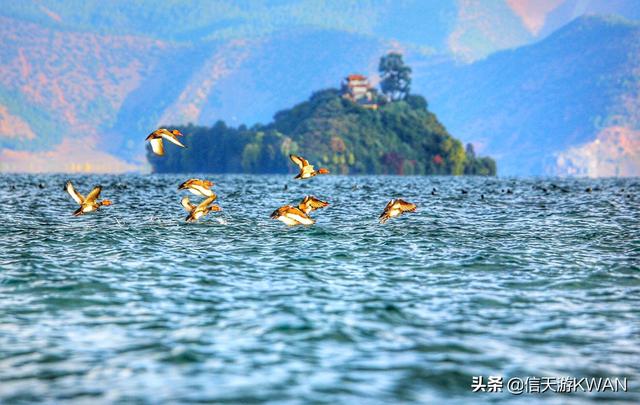 云南旅游（云南旅游景点地图及路线图）