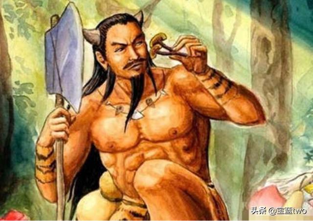 已完结的小说在哪里看（己完结的小说）