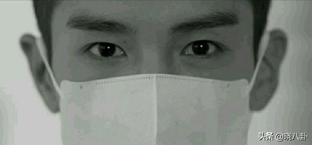 太子妃升职记结局是谁杀了张芃芃