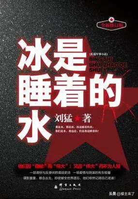 冰是睡着的水电视剧剧情介绍